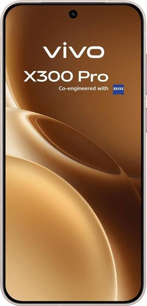 Vivo X300 Pro