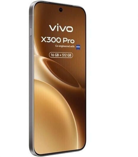 Vivo X300 Pro